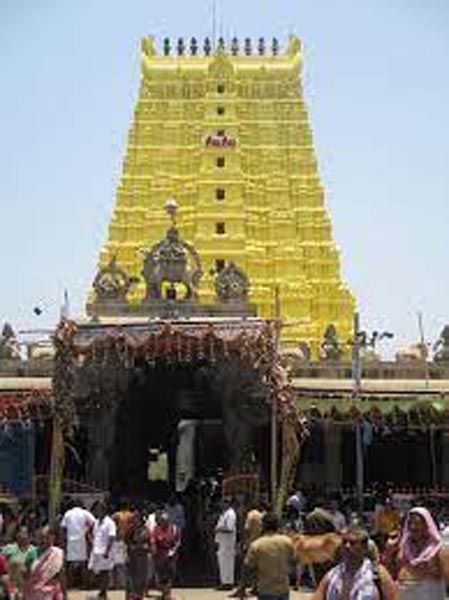 145 खम्भों पर टिका है मंदिर