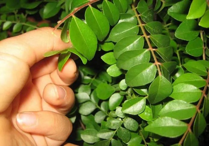 कोलेस्ट्रोल को कम कैसे करें कोलेस्ट्रोल को कम कैसे करें