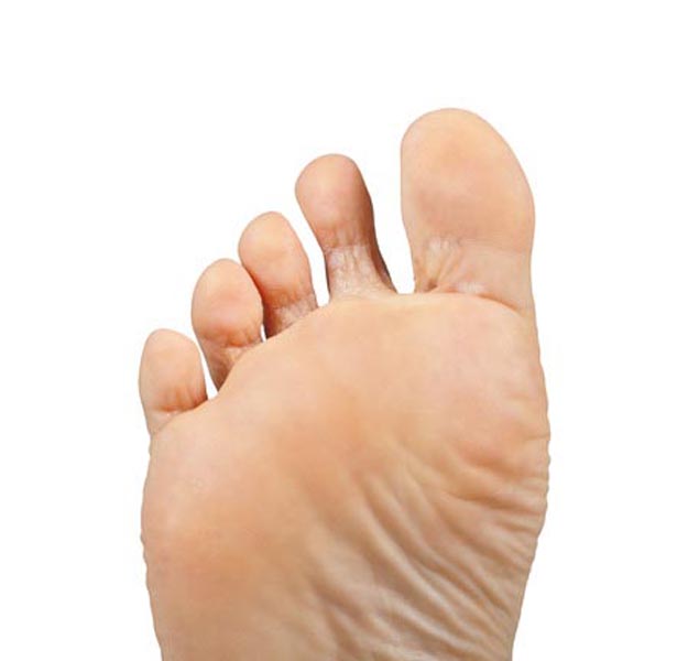 एंटीबैक्टीरियल गुणों से भरपूर