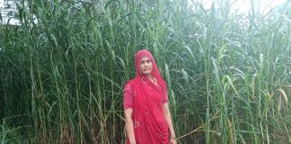 कृषि के क्षेत्र में राजस्थान