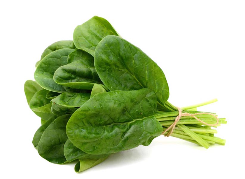 पालक