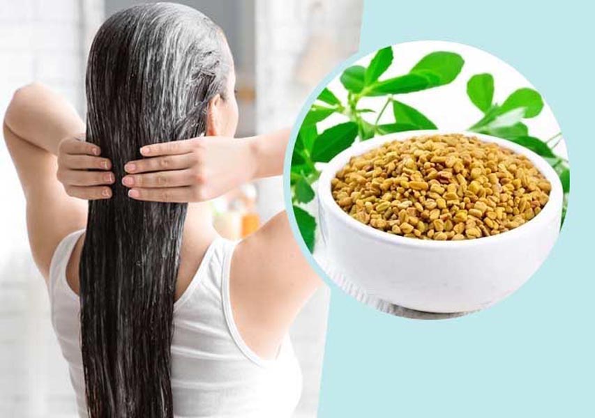 मेथी दाना बालों में लगाने के फायदे
