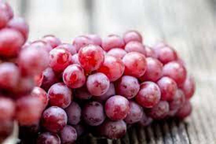लाल अंगूर खाने के फायदे लाल अंगूर खाने के फायदे