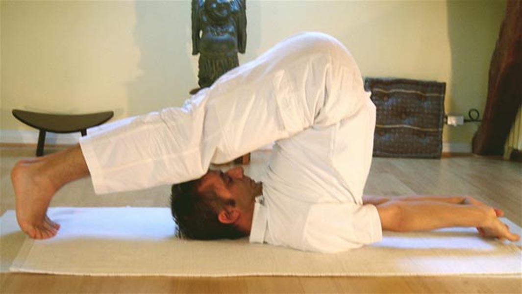 हलासन