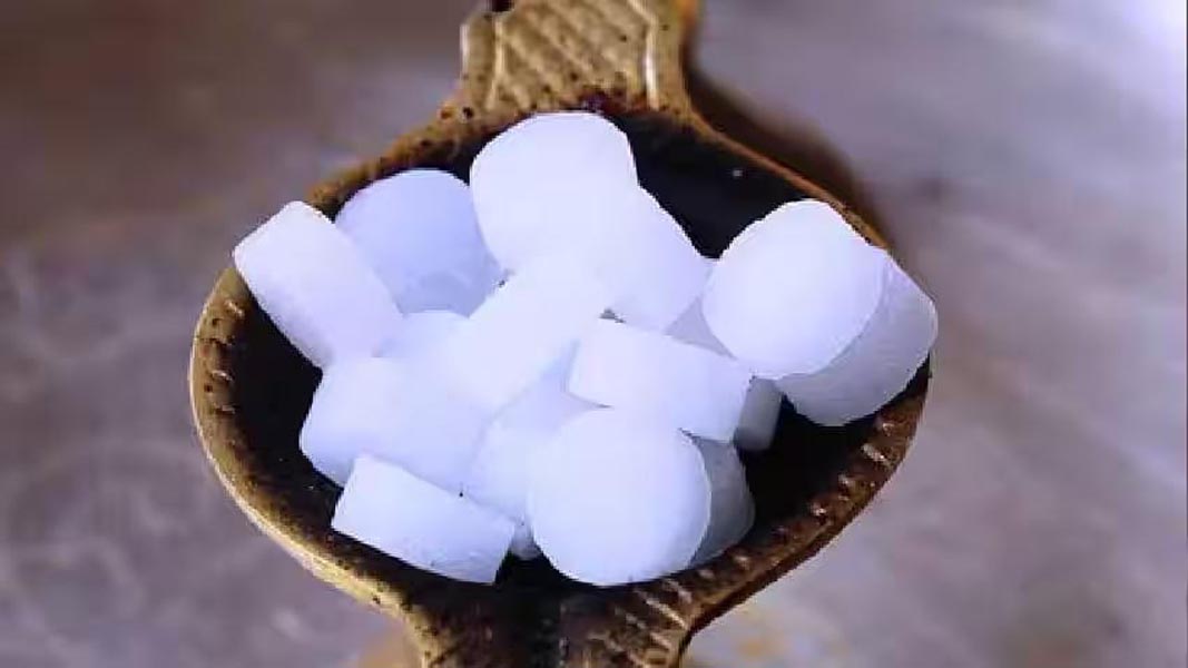 कपूर का महत्व