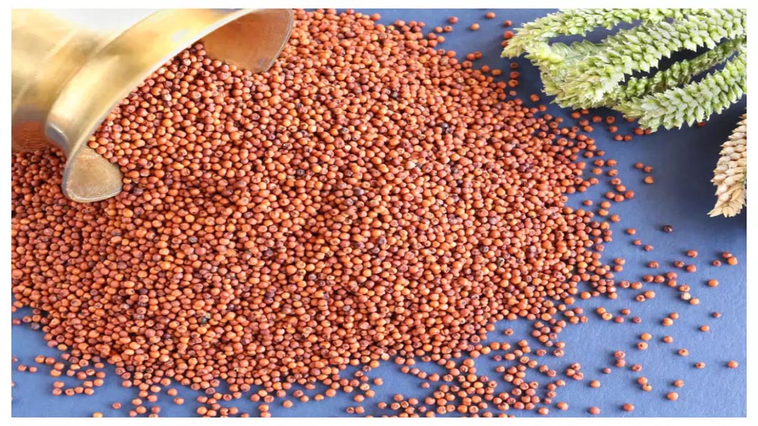गार्लिक-रागी क्रैकर्स की रेसिपी