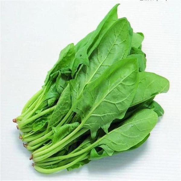 पालक