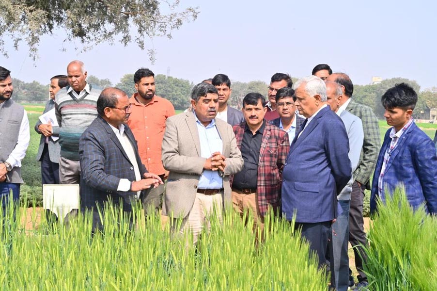 डॉ. किरोड़ीलाल मीणा