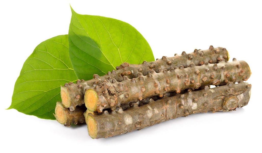 गुडुची