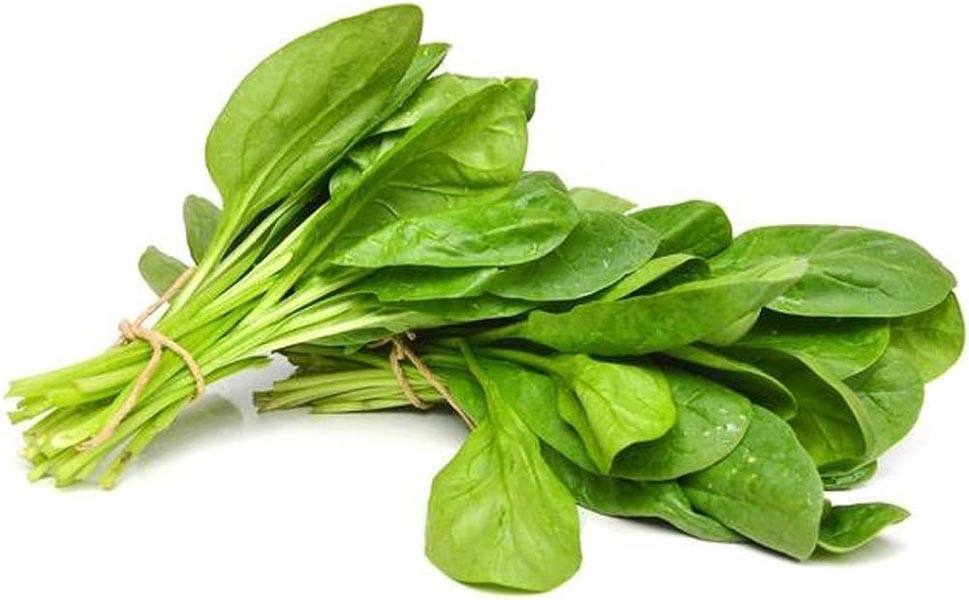 पालक