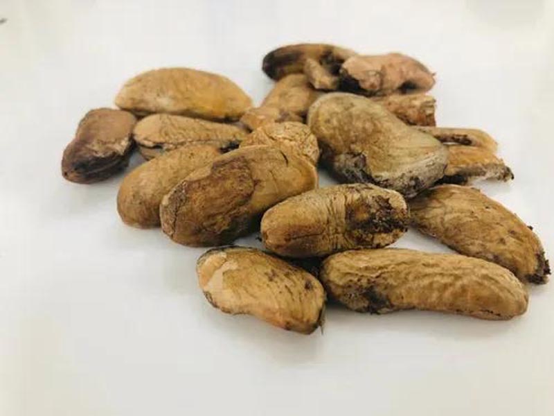 आम की गुठली