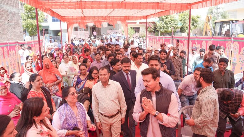 कर्नल राज्यवर्धन राठौड़