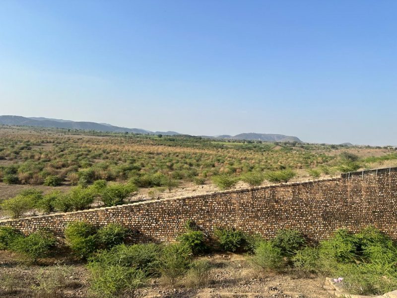 फोटोग्राफर्स