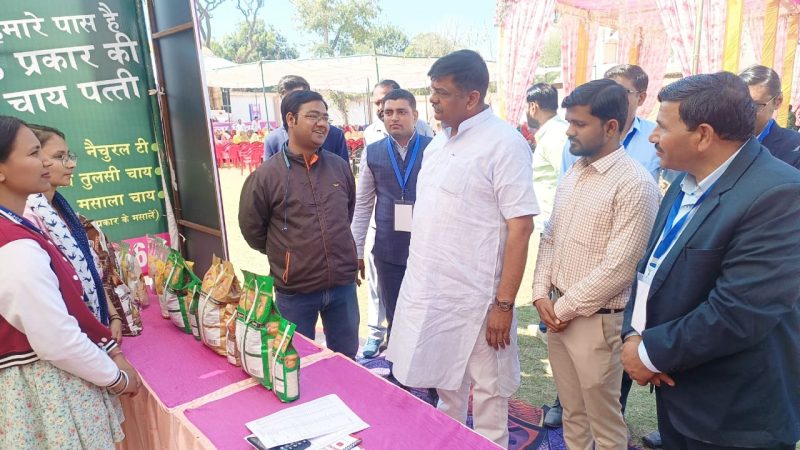 वन एवं पर्यावरण राज्यमंत्री