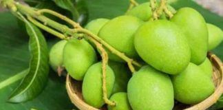कच्चा आम