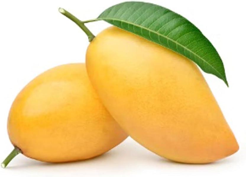 आम