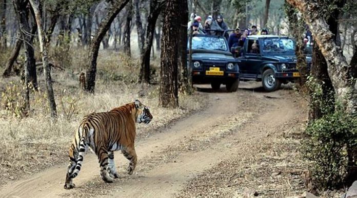 रणथम्भौर पार्क रणथम्भौर पार्क