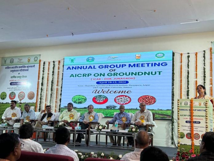 अखिल भारतीय मुंगफली समन्वित अनुसंधान कार्यशाला अखिल भारतीय मुंगफली समन्वित अनुसंधान कार्यशाला
