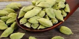 इलायची