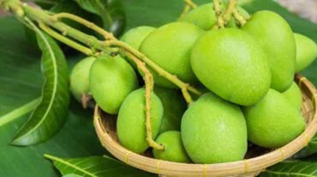 कच्चा आम