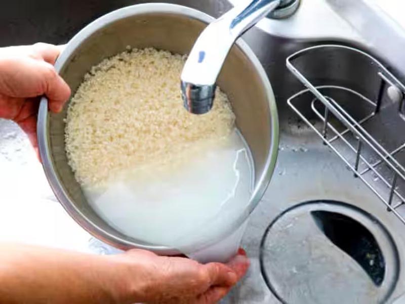 चावल का स्टार्च