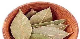 तेज पत्ता