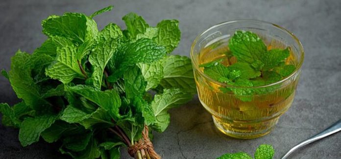 पुदीने की पत्ति