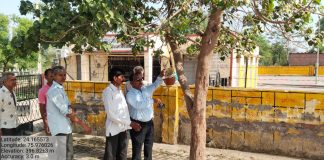 सरपंच पक्षियों के लिए बांध रहे 101 परिंडे