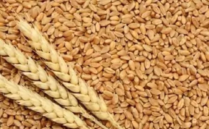 राष्ट्रीय खाद्य सुरक्षा योजना राष्ट्रीय खाद्य सुरक्षा योजना