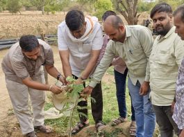 वन एवं पर्यावरण राज्यमंत्री (स्वतंत्र प्रभार) संजय शर्मा