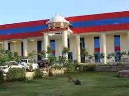 ओपीजेएस यूनिवर्सिटी