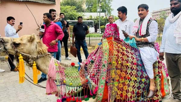 ऊंट पर सवार होकर संसद के लिए निकले राजकुमार रोत