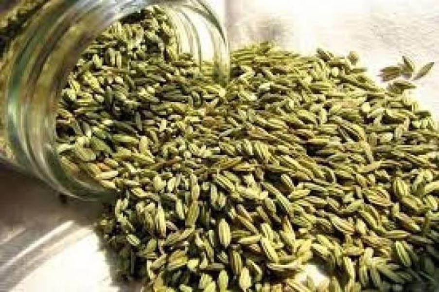 सौंफ