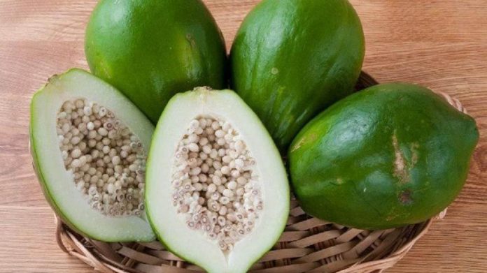 कच्चा पपीता कच्चा पपीता