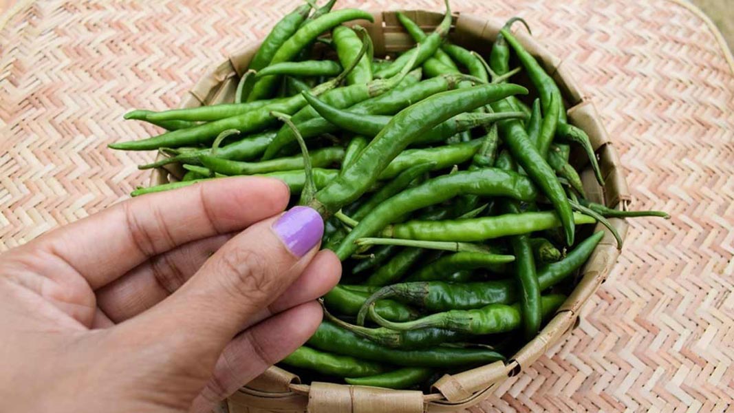 हरी मिर्च