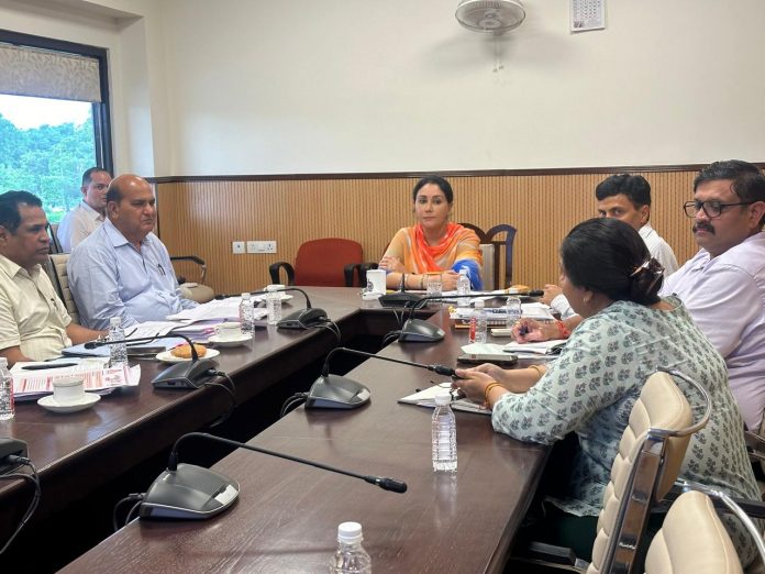 उप मुख्यमंत्री दिया कुमारी उप मुख्यमंत्री दिया कुमारी