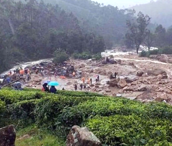 वायनाड वायनाड