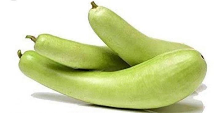 लौकी लौकी