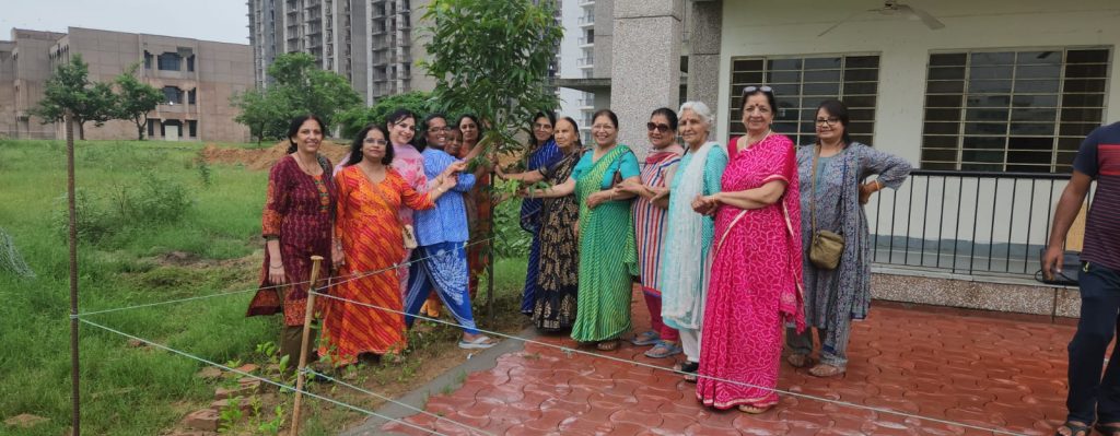 वीवीडी सोश्यल क्लब