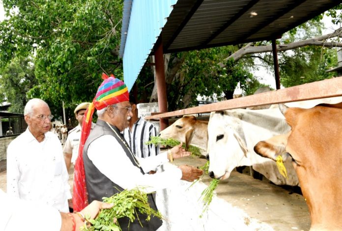 राज्यपाल राज्यपाल