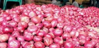 प्याज