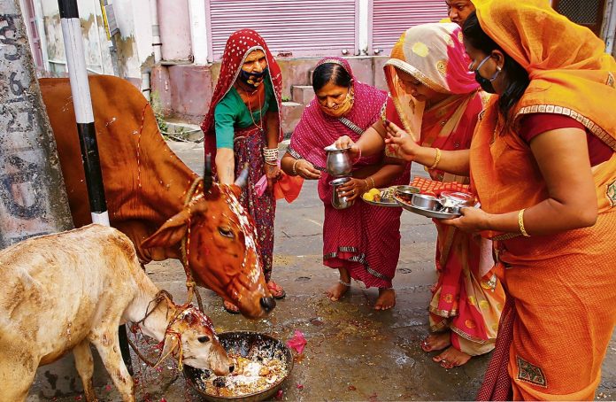 पशु-पक्षियों को भोजन पशु-पक्षियों को भोजन