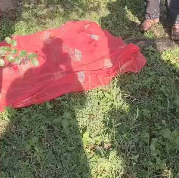 उदयपुर में लेपर्ड का महिला पर हमला उदयपुर में लेपर्ड का महिला पर हमला