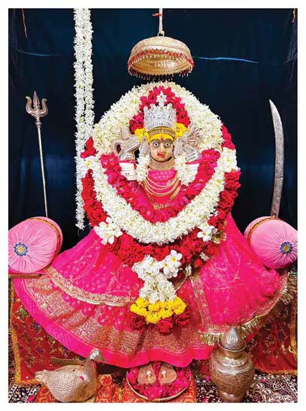 चित्तौडग़ढ़ का मंदिर
