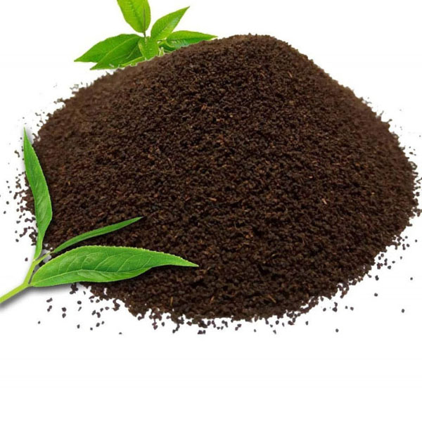 चाय पत्ति