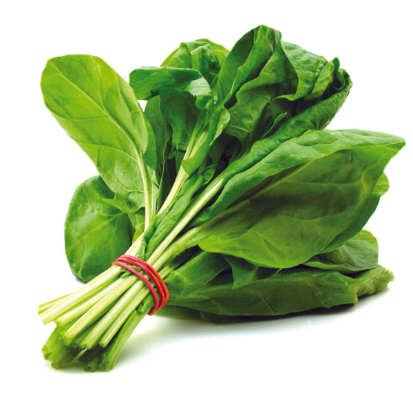पालक