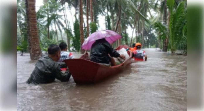 Death toll from Tropical Storm Trami reaches 116 Death toll from Tropical Storm Trami reaches 116