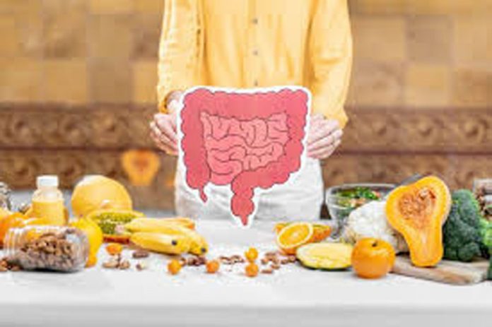 पाचन पाचन