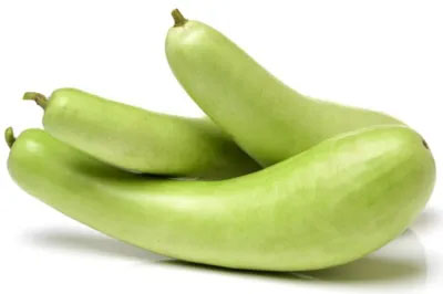 लौकी