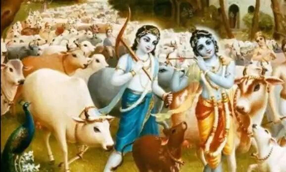 गोपाष्टमी पूजन